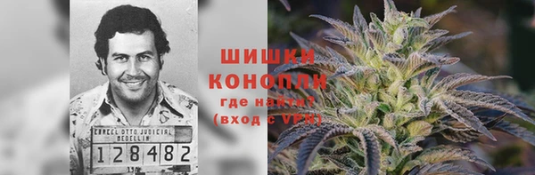 бошки Каменногорск