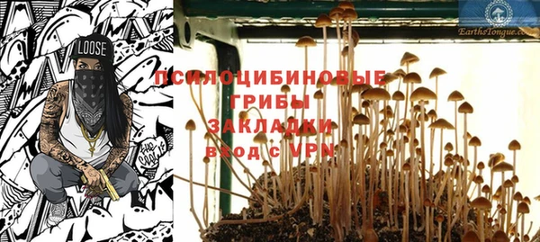 амф Каменск-Шахтинский