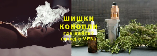 бошки Каменногорск