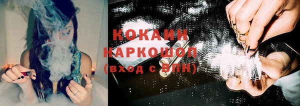 бошки Каменногорск