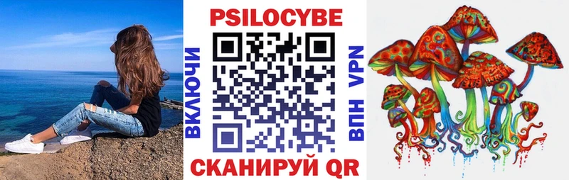 Купить где  Донецк  Псилоцибиновые грибы GOLDEN TEACHER 